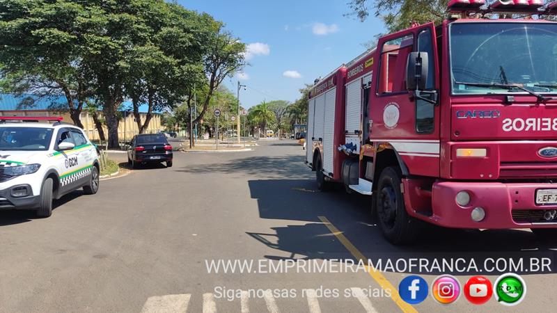 Poliesportivo é evacuado e interditado após ataque de abelhas