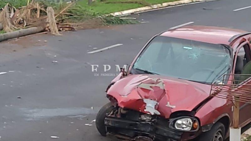 Motorista perde controle de veículo em avenida e colide contra dois coqueiros em Franca