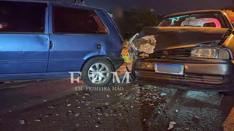 Cachorra tira atenção de motorista que bate em dois veículos estacionados 