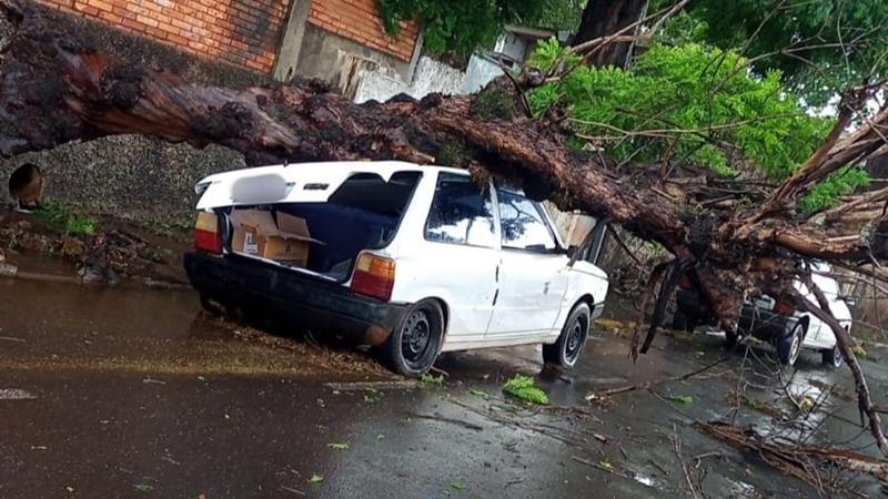 Forte chuva causa estragos e prejuízos em Franca