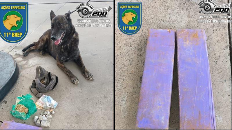 BAEP e cão Bono localizam drogas enterradas em mata na Vila São Sebastião em Franca