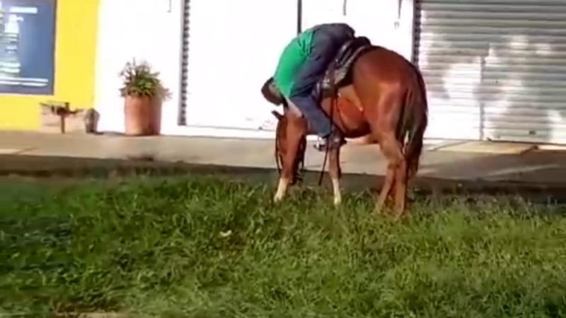 Homem “pra lá de Bagdá” é flagrado dormindo em cima de cavalo em avenida de Franca