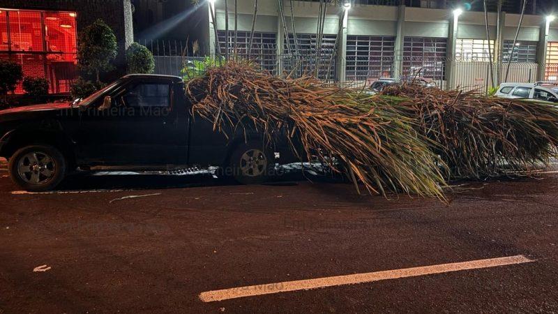 Polícia Militar de Cristais Paulista prende criminosos por furto de toneladas de cana