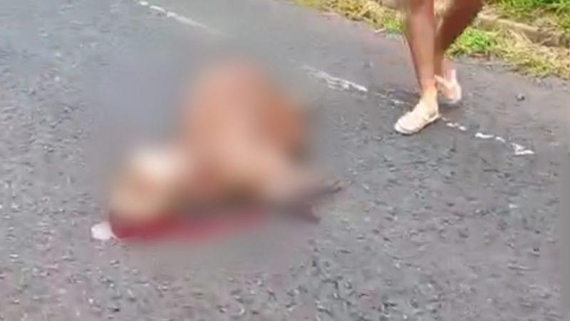 Motociclista fica ferido ao atropelar capivara em avenida de Franca