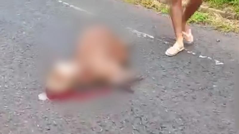 Motociclista Fica Ferido Ao Atropelar Capivara Em Avenida De Franca