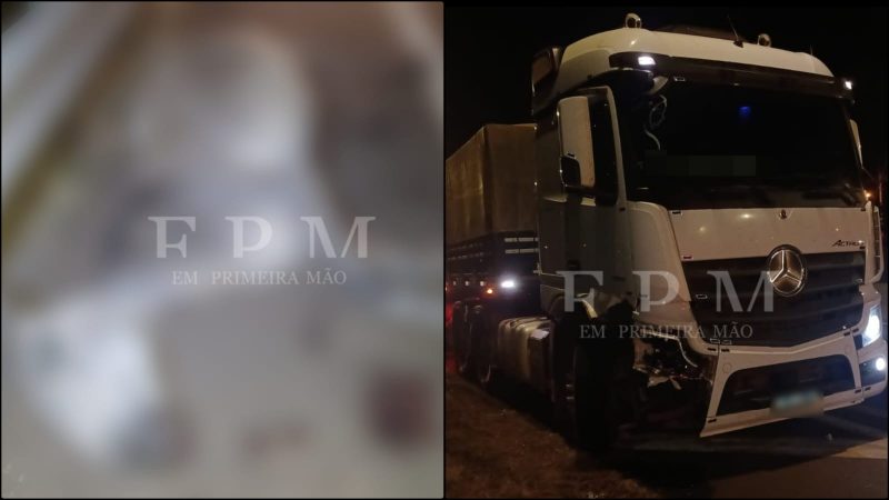 Animal solto causa acidente na rodovia Cândido Portinari em Franca