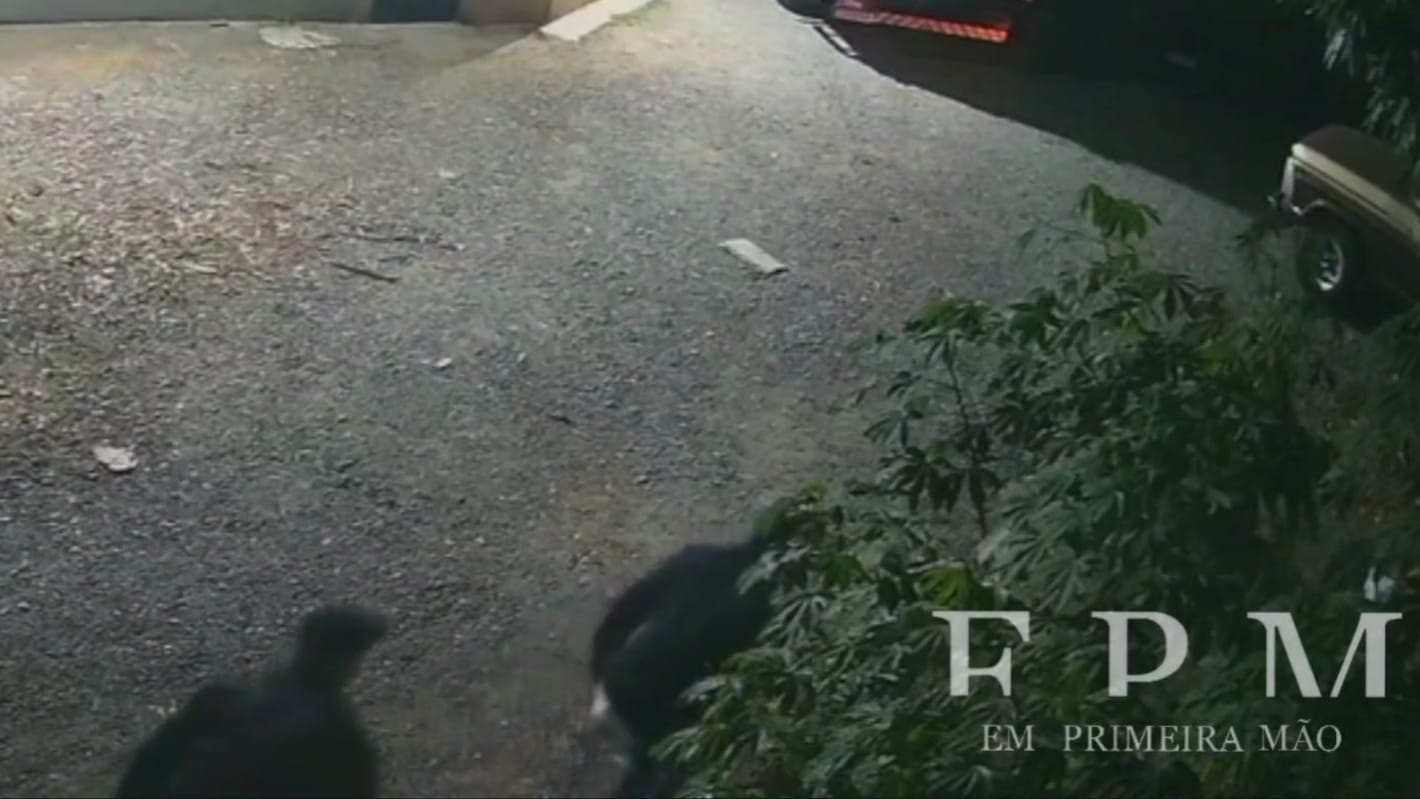 Câmeras de segurança registram tentativa de furto de caminhonete em Franca