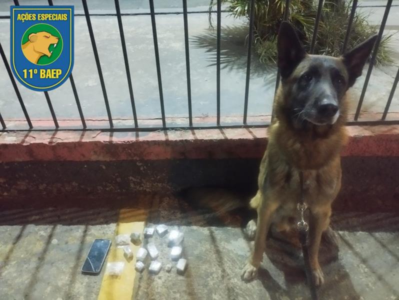 Adolescente é apreendido pelo Baep com drogas no Jardim Brasilândia