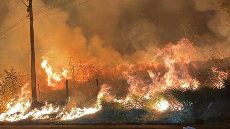 Incêndio de grandes proporções atinge área de mata no Recanto Elimar, em Franca