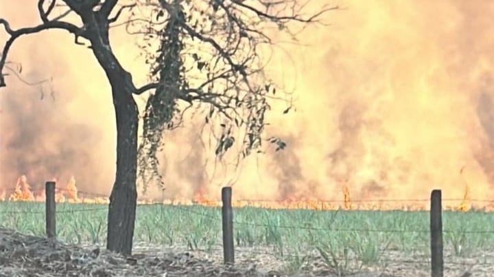 Polícia Militar de Nuporanga prende homem por incêndio criminoso na Rodovia Waldir Canevari