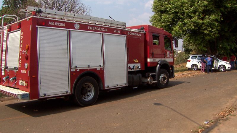 Homem é encontrado sem vida em mata no Parque Dom Pedro I, em Franca