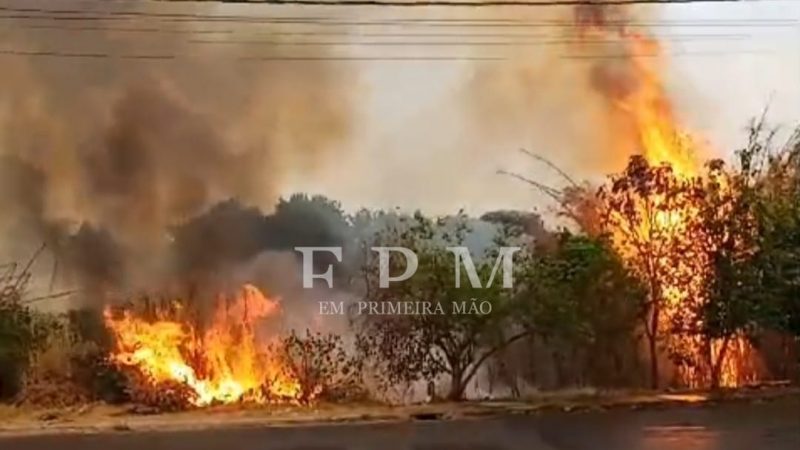 Incêndios em áreas de mata assustam moradores da região Oeste e Norte de Franca